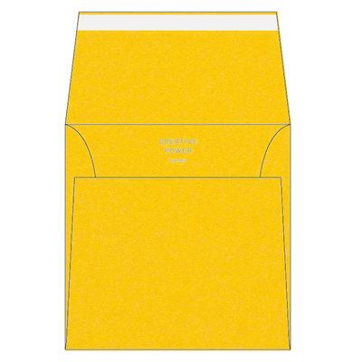 Olin Colours Plicuri