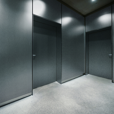 Coala Interior Film Steel
