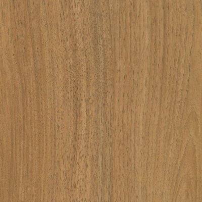Coala Interior Film Wood