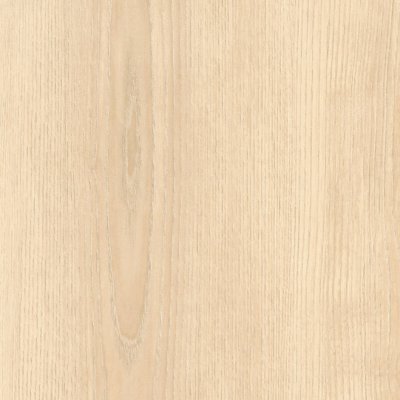 Coala Interior Film Wood