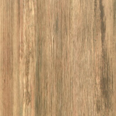 Coala Interior Film Wood