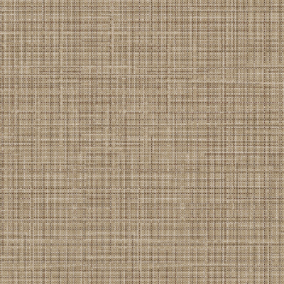 Coala Interior Film Textile