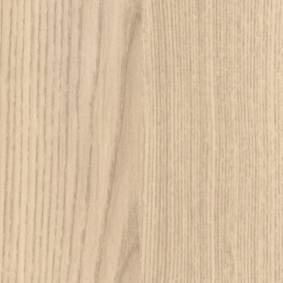 Coala Interior Film Wood