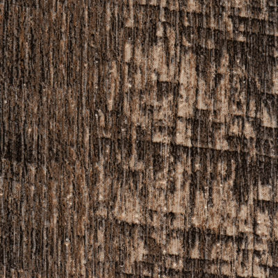 Coala Interior Film Wood