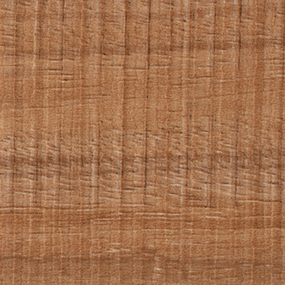 Coala Interior Film Wood