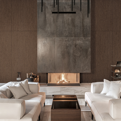 Coala Interior Film Steel