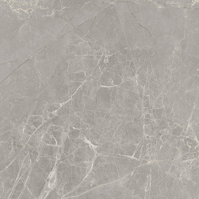 Coala Interior Film Stone