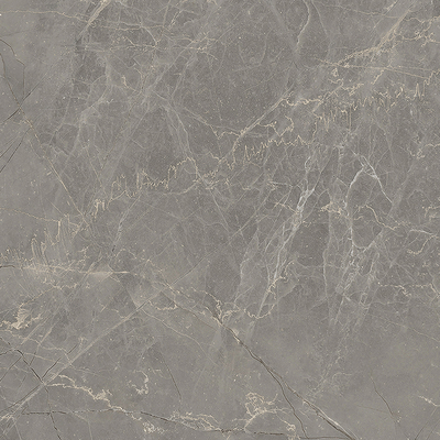 Coala Interior Film Stone