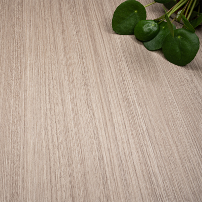 Coala Interior Film Wood
