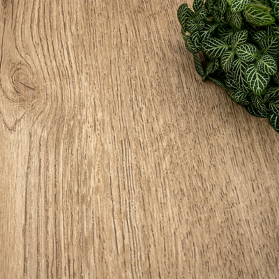 Coala Interior Film Wood