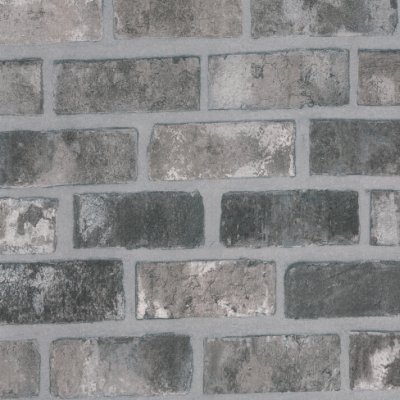 Coala Interior Film Stone