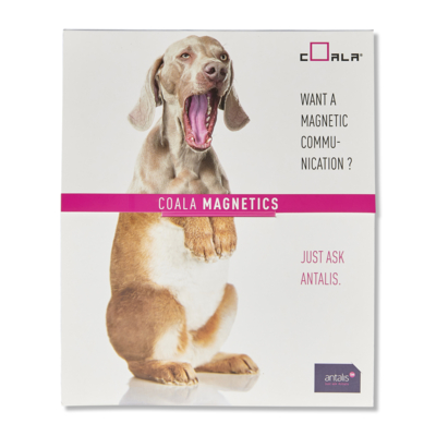 Coala Magnetics - Base Adhesive