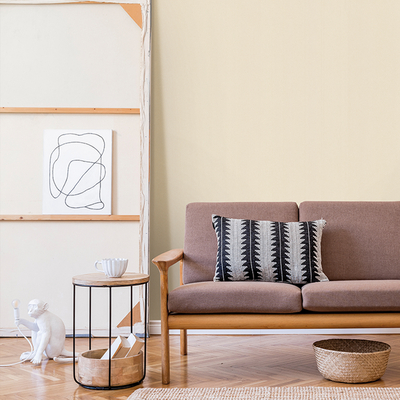 Coala Interior Film Leather