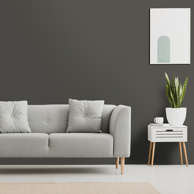Coala Interior Film Soft Touch