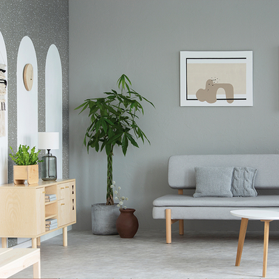 Coala Interior Film Stone