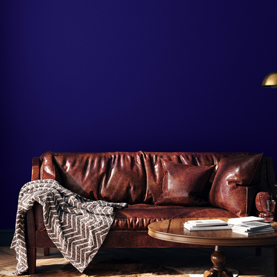 Coala Interior Film Solid Colours