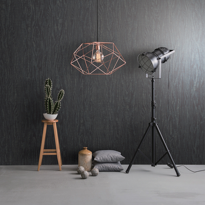 Coala Interior Film Wood