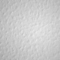 ASTROPRINT ORANGE PEEL 221 WHITE