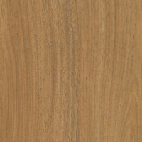Coala Interior Film Wood