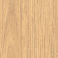 Coala Interior Film Wood