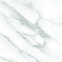 Coala Interior Film Stone