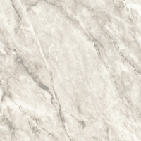 Coala Interior Film Marble