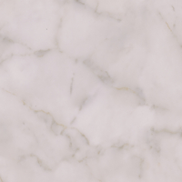 Coala Interior Film Stone
