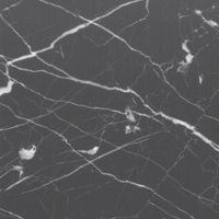 Coala Interior Film Marble
