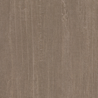Coala Interior Film Wood