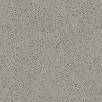 Coala Interior Film Stone