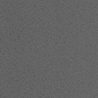 Coala Interior Film Stone