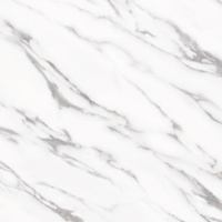 Coala Interior Film Marble