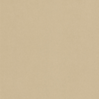 Coala Interior Film Leather