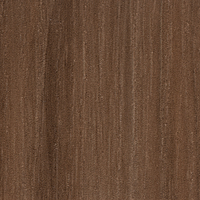 Coala Interior Film Wood