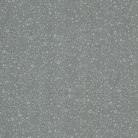 Coala Interior Film Stone