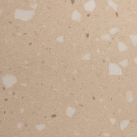 Coala Interior Film Stone