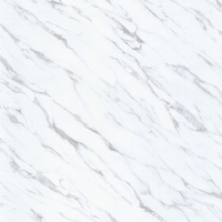 Coala Interior Film Marble