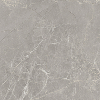 Coala Interior Film Stone