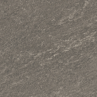Coala Interior Film Stone