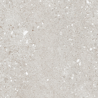 Coala Interior Film Stone