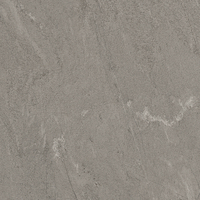 Coala Interior Film Stone