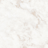 Coala Interior Film Stone