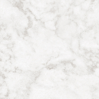 Coala Interior Film Stone