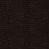Coala Interior Film Leather