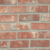 Coala Interior Film Stone