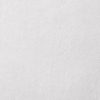 GELTEX BLANCO NIEVE 111 CUERO5 G LEATHER