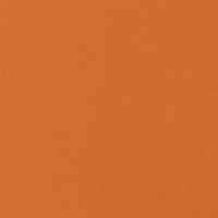 GELTEX CALABAZA