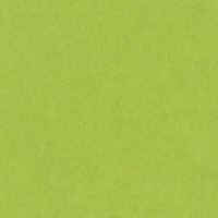 GELTEX MANZANA
