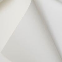 NATURAL EVOLUTION IVORY