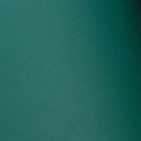 PLIKE GREEN